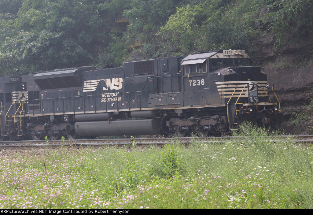 NS 7236